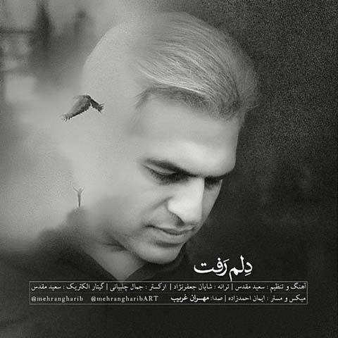 دانلود آهنگ مهران غریب دلم رفت